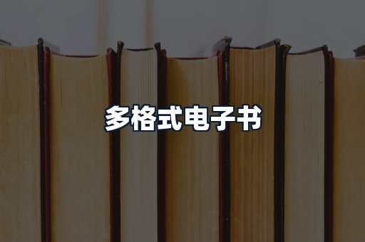 多格式电子书